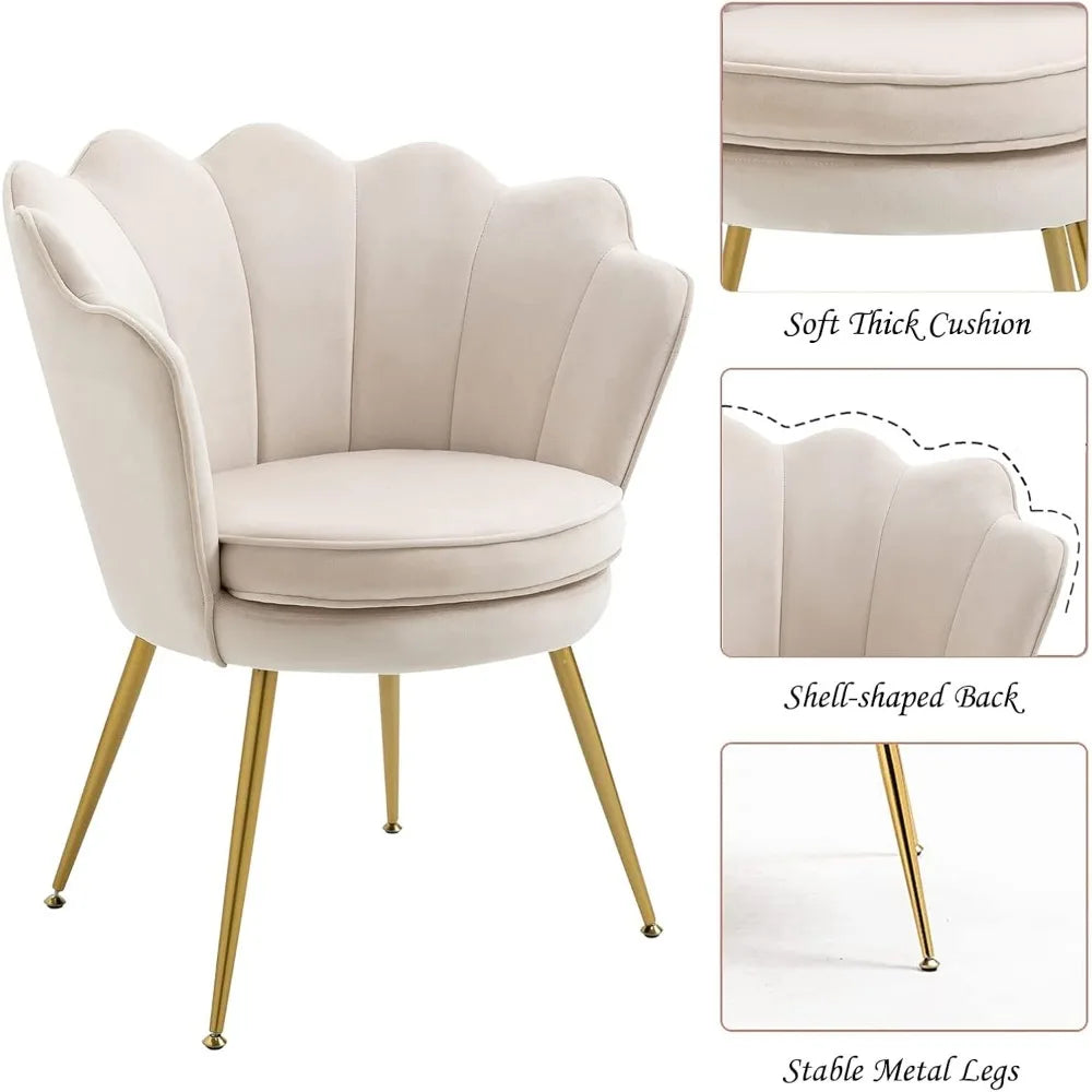 Living Room Chair Set of 2