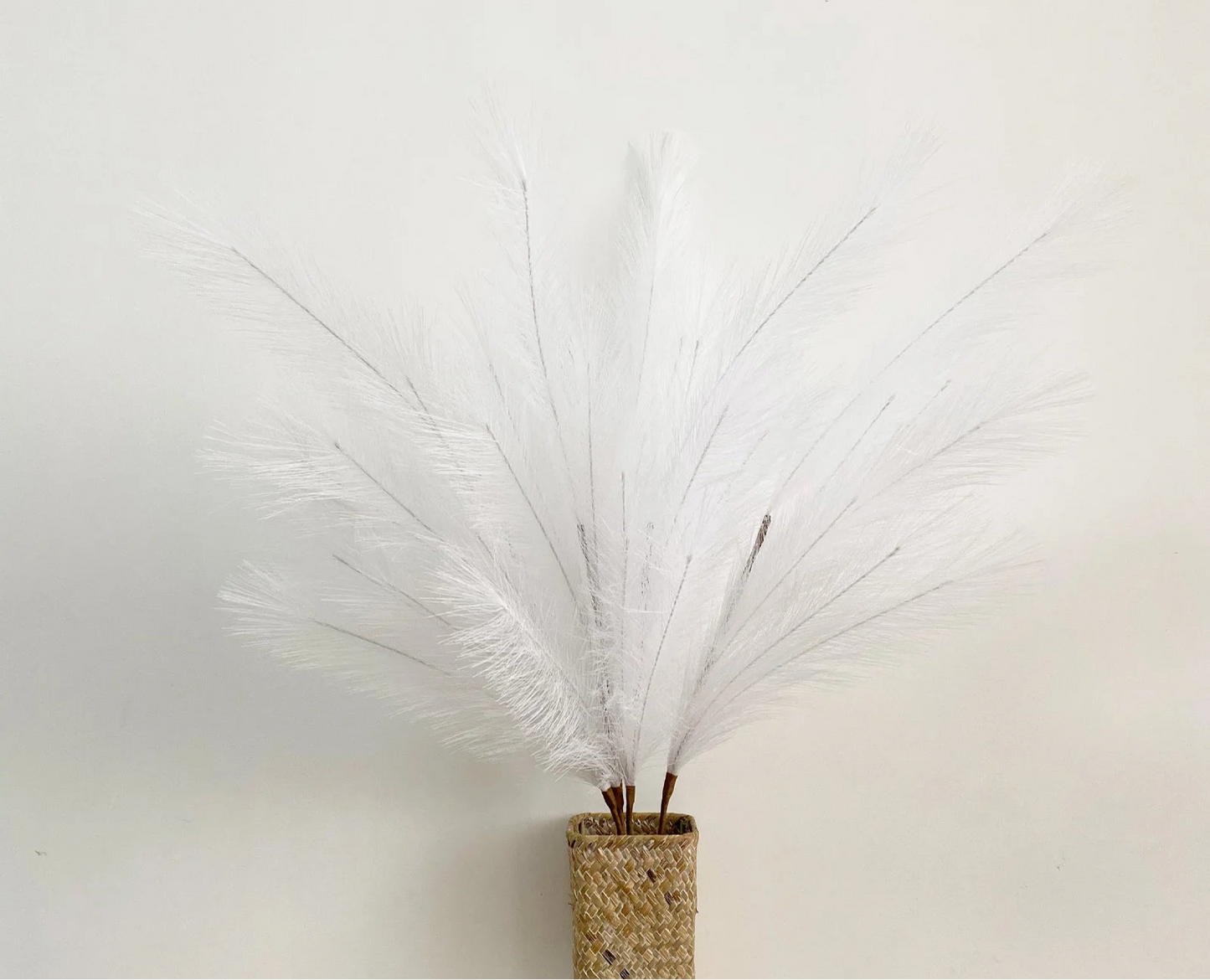 Pampas Grass