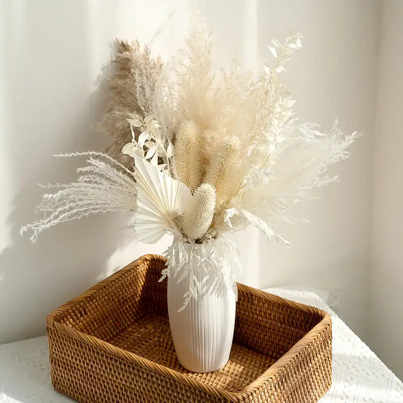 Dried Pampas Grass