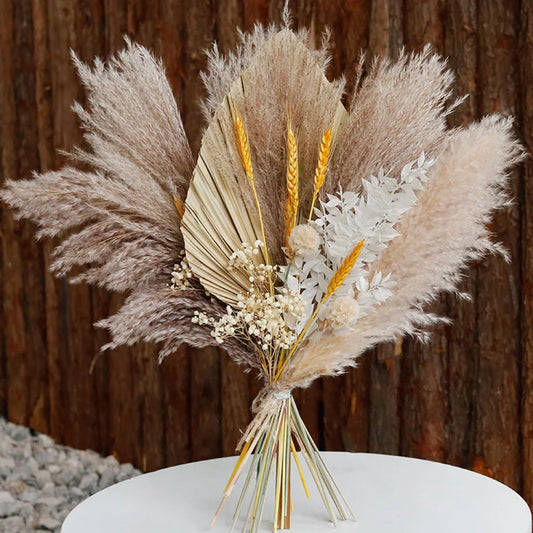 Natural Dried Pampas Grass