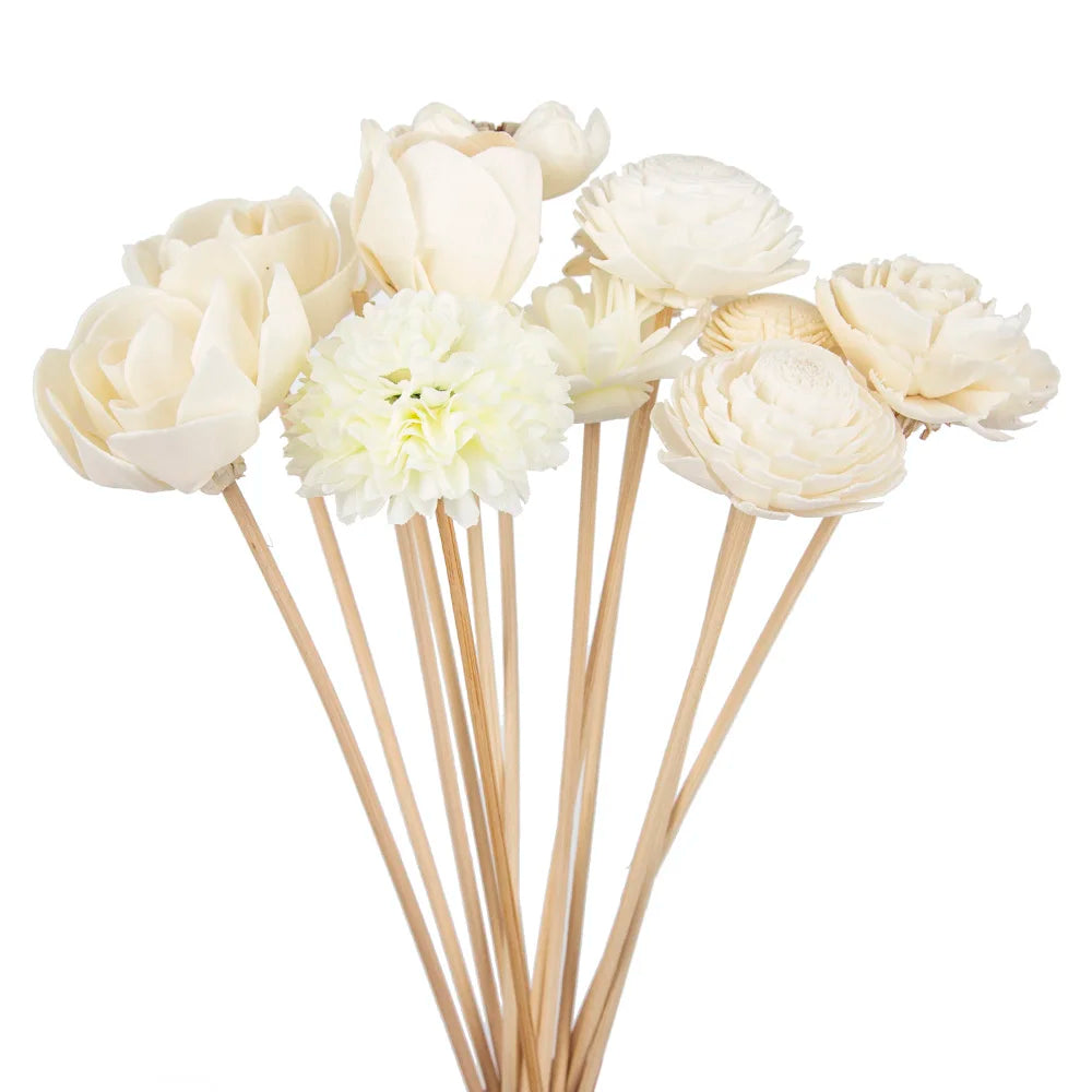 11 pcs Rattan Diffuser Sticks