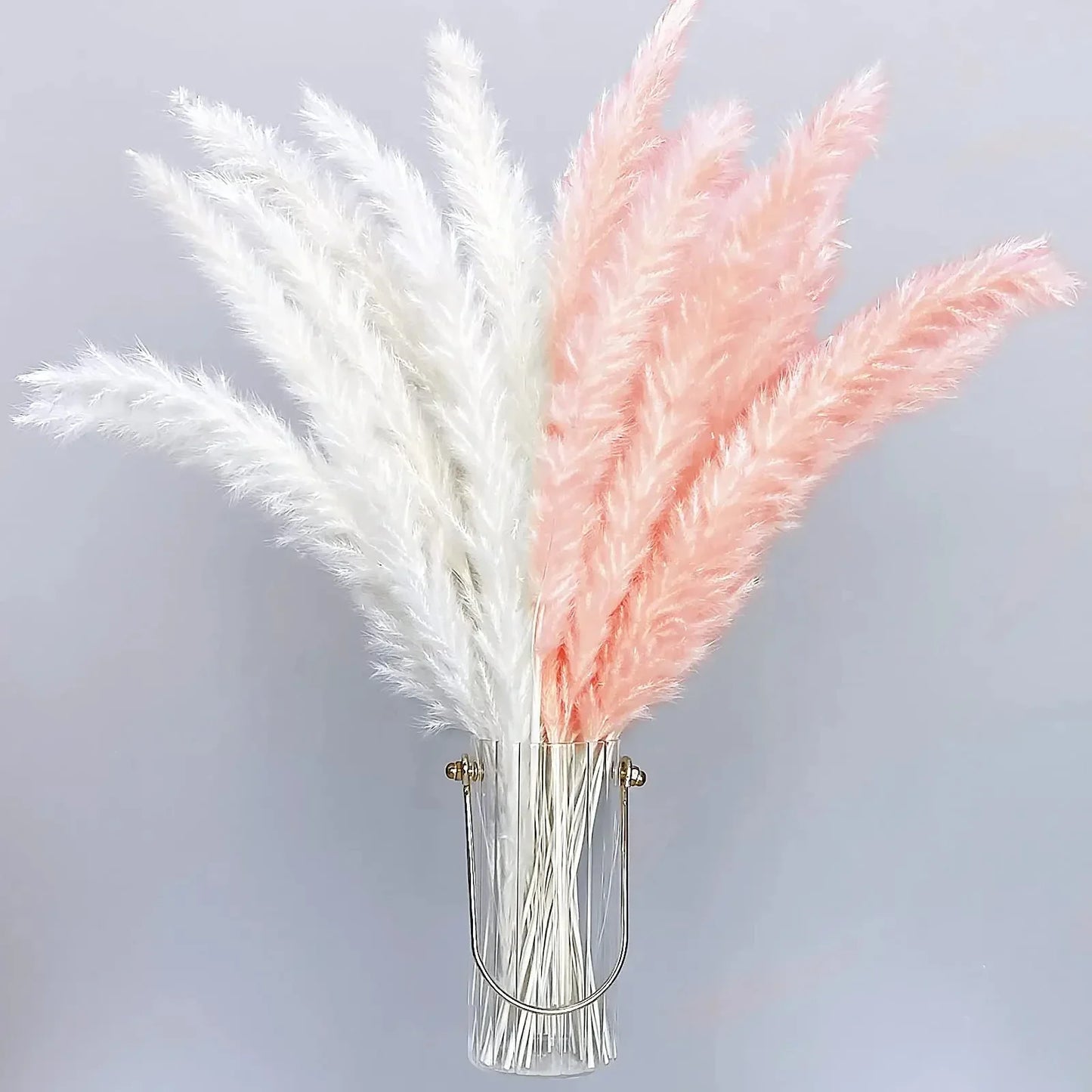 30pcs Natural Pampas