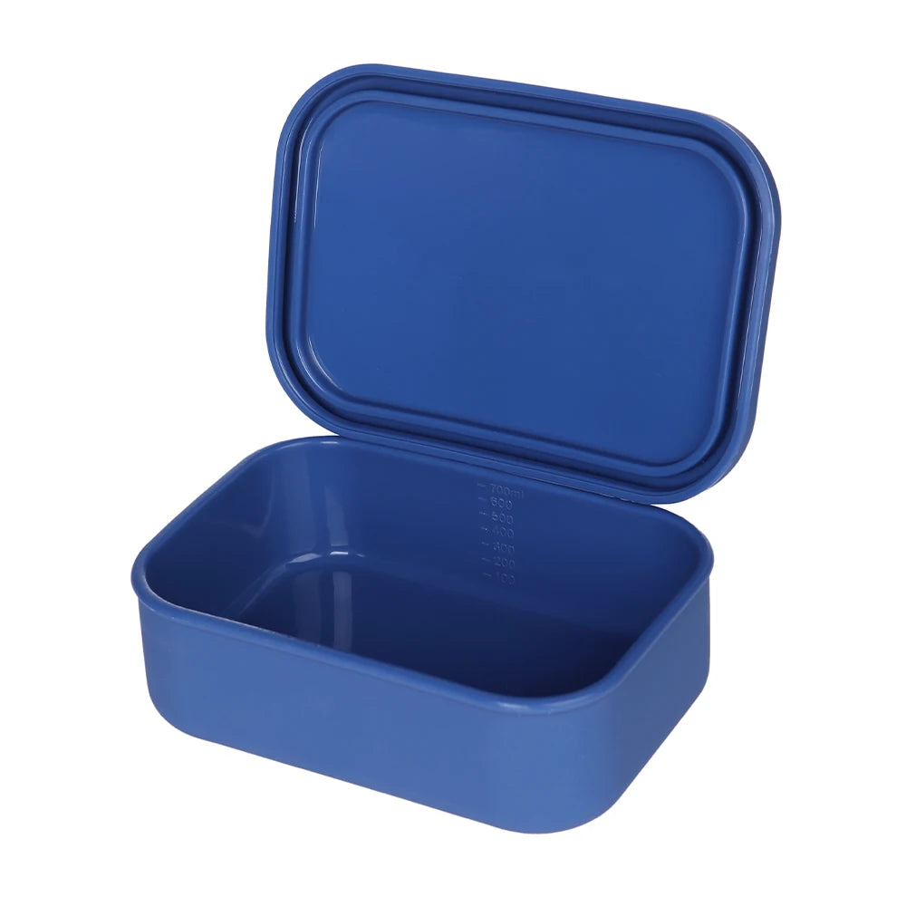 Silicone bento box