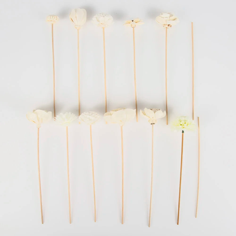 11 pcs Rattan Diffuser Sticks